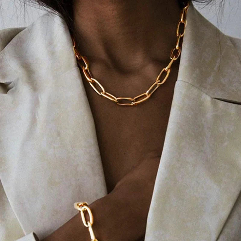 Stainless Steel Thick Chain Necklace – Unisex Punk Choker Jewelry for Women & Men