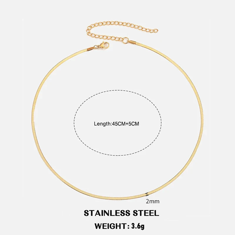 Classic Flat Snake Chain Choker Necklace – Stainless Steel Herringbone Design in Gold & Silver