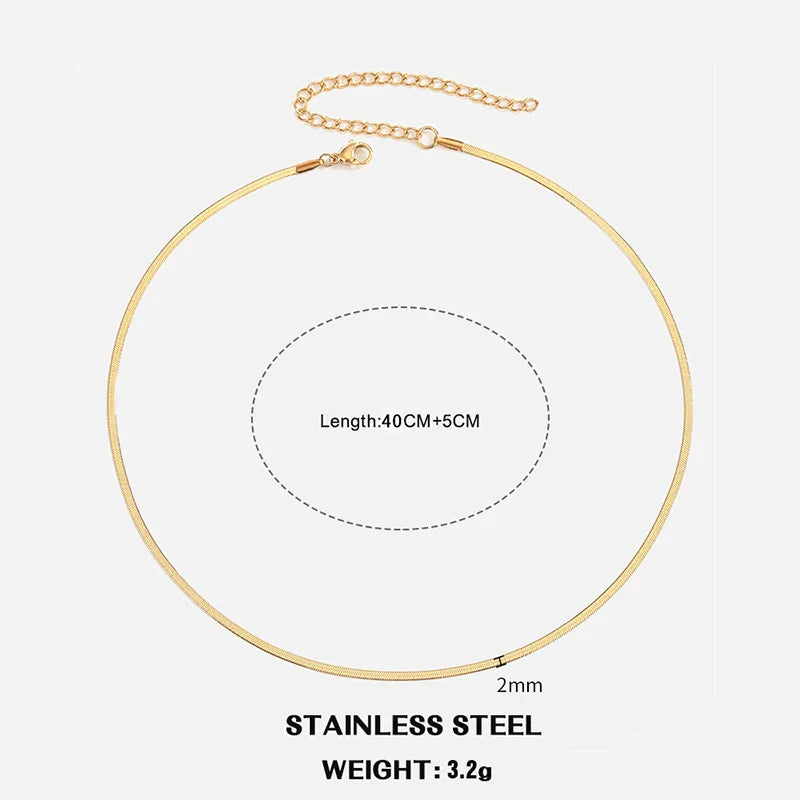Classic Flat Snake Chain Choker Necklace – Stainless Steel Herringbone Design in Gold & Silver