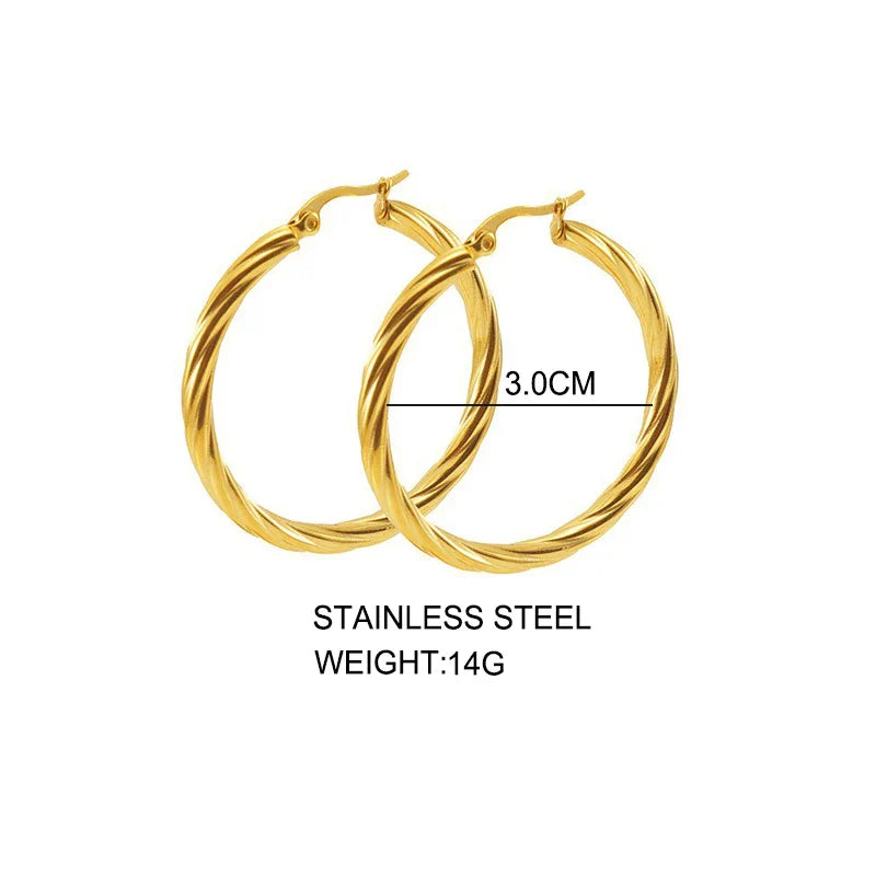 Classic Twisted Round Hoop Earrings – Stainless Steel, Vintage Trend, Gold & Silver