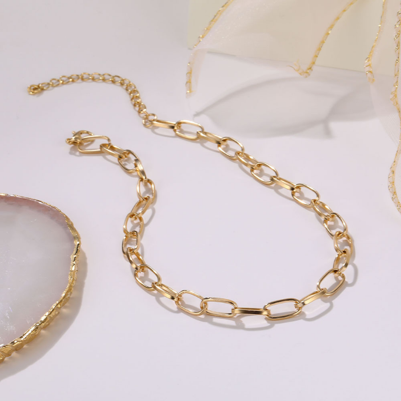 Stainless Steel Thick Chain Necklace – Unisex Punk Choker Jewelry for Women & Men